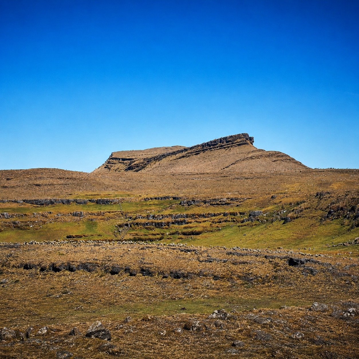 Páramo de Ocetá en Monguí Boyacá